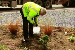 Campbeltown Gateway Garden 10