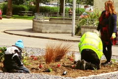 Campbeltown Gateway Garden 9