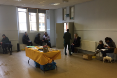 dogs trust 6319