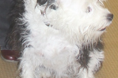 weedoagawwww2