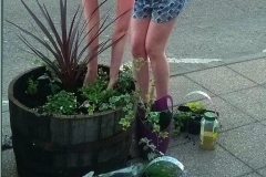 Floral Planters