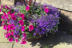 Floral Planters